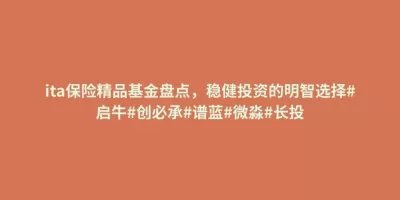 ita保险精品基金盘点,稳健投资的明智选择#启牛#创必承#谱蓝#微淼#长投 ita保险精品基金盘点,稳健投资的明智选择#启牛#创必承#谱蓝#微淼#长投