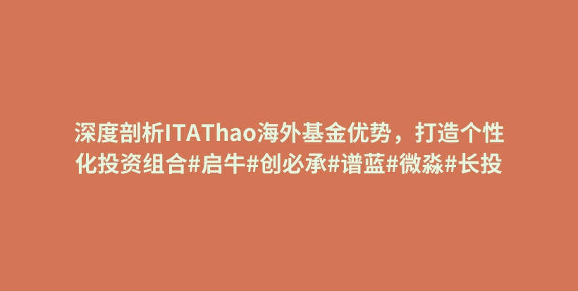 深度剖析ITAThao海外基金优势,打造个性化投资组合#启牛#创必承#谱蓝#微淼#长投插图 深度剖析ITAThao海外基金优势,打造个性化投资组合#启牛#创必承#谱蓝#微淼#长投插图