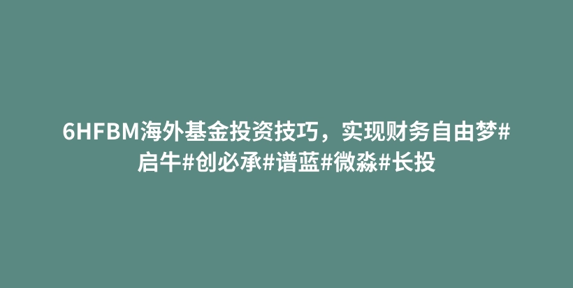 6HFBM海外基金投资技巧,实现财务自由梦#启牛#创必承#谱蓝#微淼#长投插图 6HFBM海外基金投资技巧,实现财务自由梦#启牛#创必承#谱蓝#微淼#长投插图