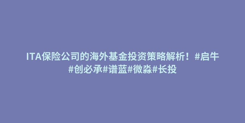 ITA保险公司的海外基金投资策略解析!#启牛#创必承#谱蓝#微淼#长投插图 ITA保险公司的海外基金投资策略解析!#启牛#创必承#谱蓝#微淼#长投插图