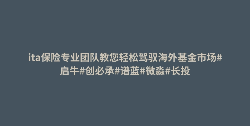 ita保险专业团队教您轻松驾驭海外基金市场#启牛#创必承#谱蓝#微淼#长投插图 ita保险专业团队教您轻松驾驭海外基金市场#启牛#创必承#谱蓝#微淼#长投插图